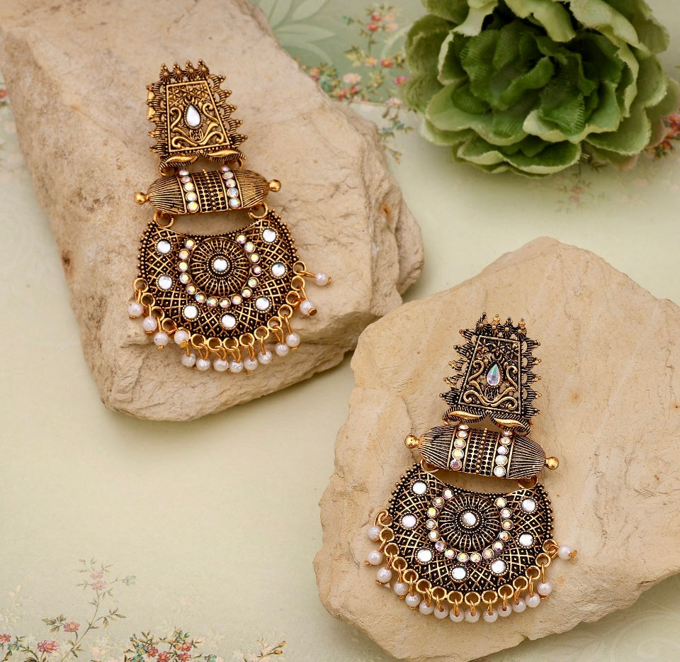 Beautiful Fashion Drop Earrings
