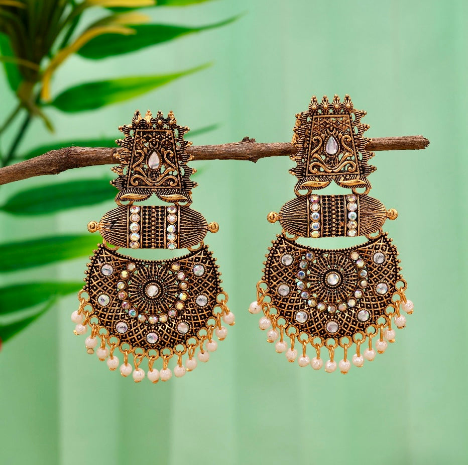 Beautiful Fashion Drop Earrings