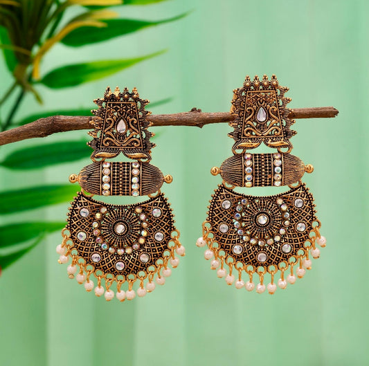 Beautiful Fashion Drop Earrings